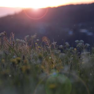 小饭七香的所有作品
